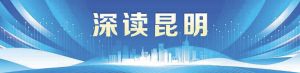 网胜先峰网, tenan