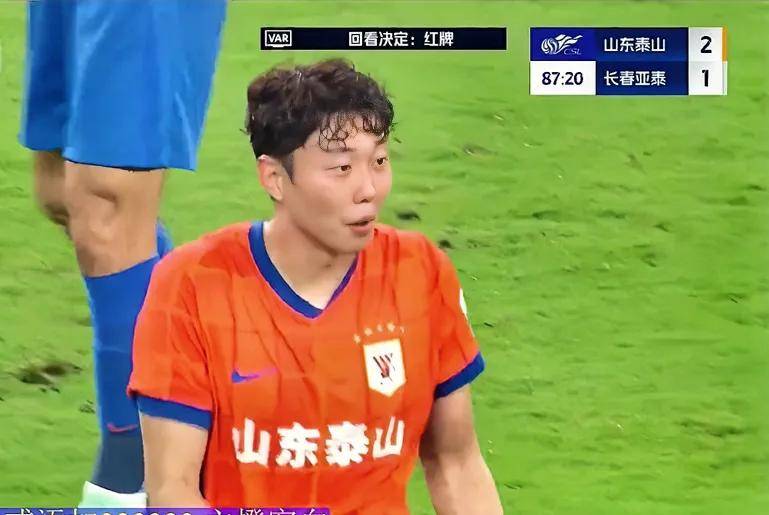 cn, 还不如派本, 亚珂鞭长莫